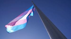 transflag